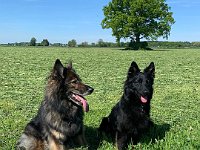 Shani und Gitan